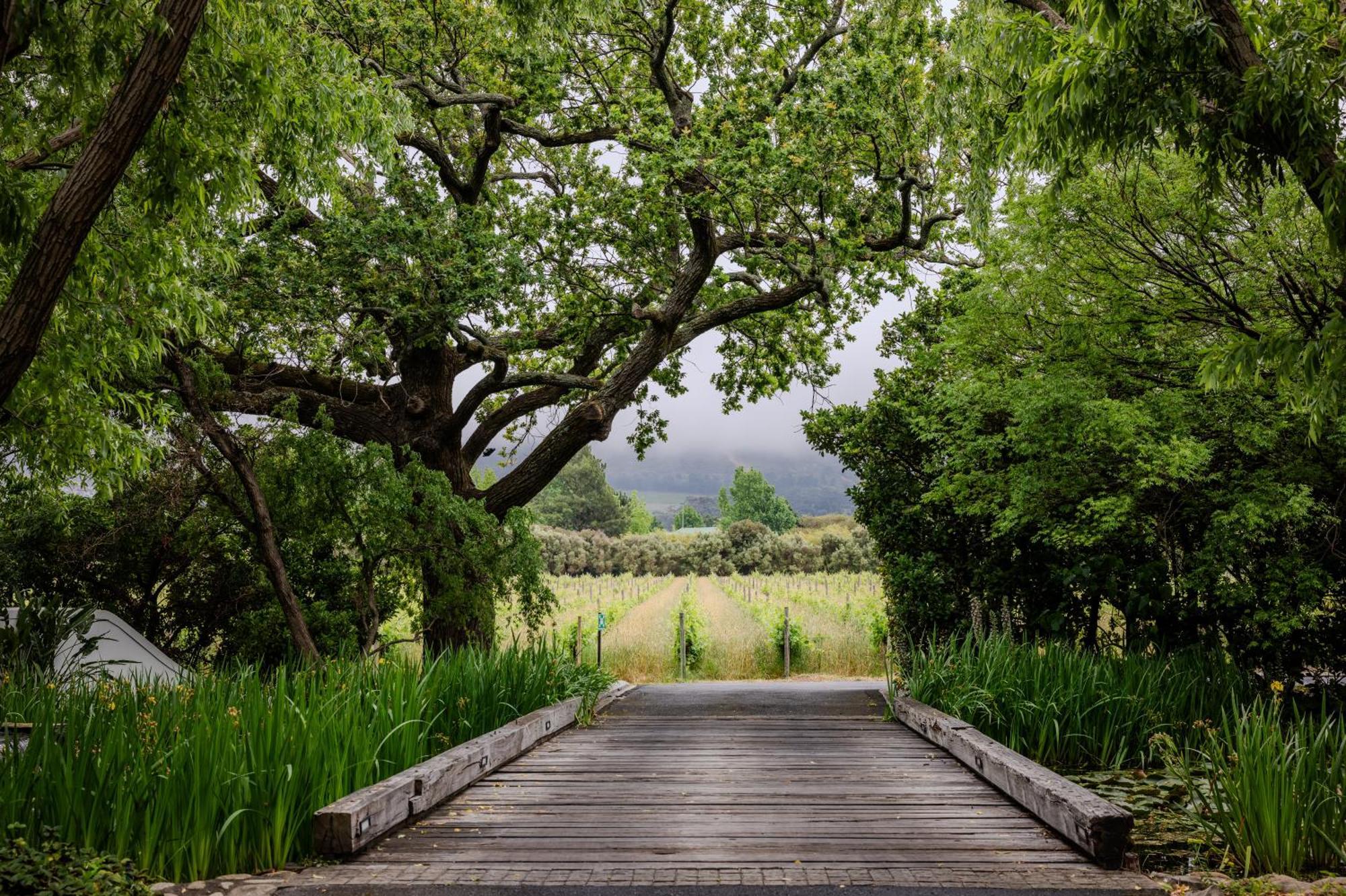 Grande Provence Hotell Franschhoek Eksteriør bilde