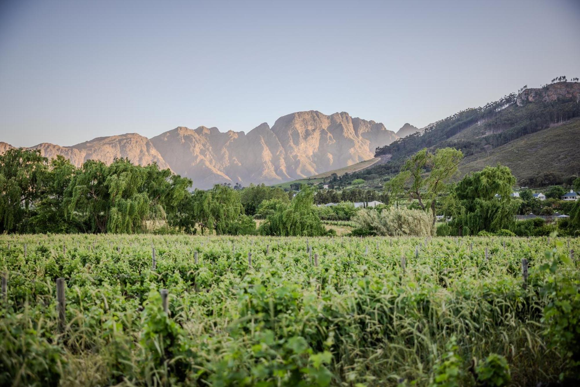 Grande Provence Hotell Franschhoek Eksteriør bilde